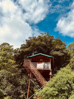 The Cocoon Camps & nature Resorts - Nainital - 0