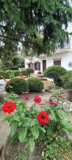 Casa nel verde !!! - Falconara Albanese - 6