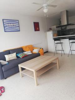 Bright apartment with garden near the sea - Le Grau-du-Roi - 6