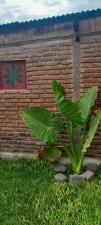 Casa Parivaar - Concepción del Uruguay - 5