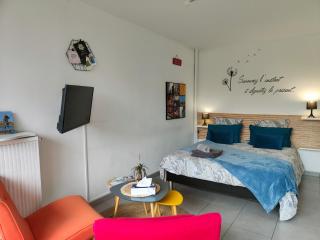 LE GARDEN CENTRAL STUDIO - Dinan - 4