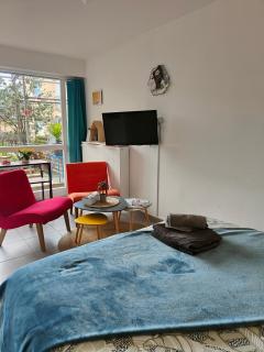 LE GARDEN CENTRAL STUDIO - Dinan - 7
