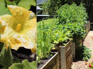 Arumvale Country Retreat - Swellendam - 1