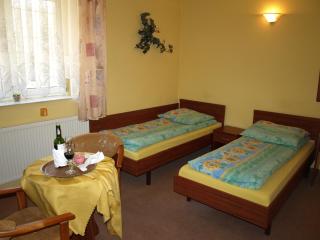 Hotel Pod Dębami - Pabianice - 3