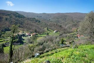 La Fermenteria - San Colombano Certenoli - 8