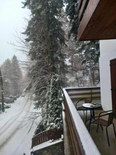 Maria Apartament - Sinaia - 5