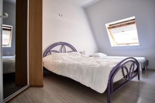 Nugget Point 0501G-142 - 3