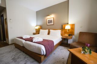 Hotel Rainha D. Amélia, Arts & Leisure - Castelo Branco - 7