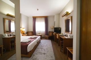 Hotel Rainha D. Amélia, Arts & Leisure - Castelo Branco - 6