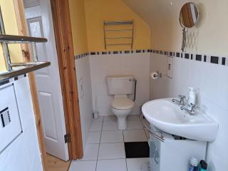 Spacious 6-Bed House 10 minutes from Knock Airport - 8