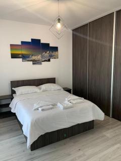 Cozy apartment in the center of Cluj-Napoca - Cluj-Napoca - 3
