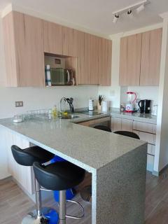 Hermoso departamento en condominio privado alicura - 8