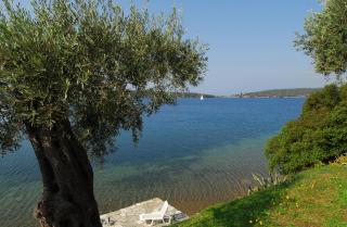 Saint Andrews Bay - 3