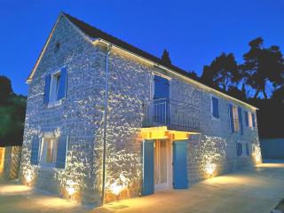 EST Villa DIOCLETIAN on Solta - luxurious villa, beachfront, private pool, outdoor BBQ, large terrace and garden, free parking - Wonderful privacy - Rogač - 0