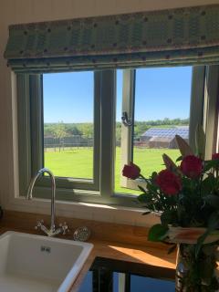 The Woolly Sheep Shepherd Huts - Whitland - 6