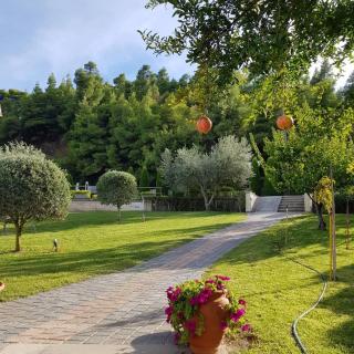 SUN RESIDENCE Exclusive Seaside Suites - Polykhrono - 6
