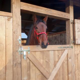 Szczere Pole Nad Morzem - 3