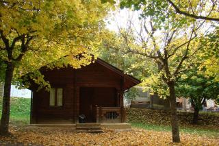 Hotel, Bungalows y Camping Viu - 9