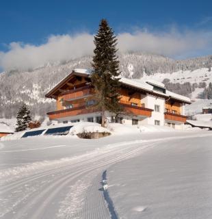 Haus Alpina - Au im Bregenzerwald - 8
