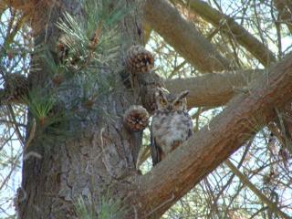 Turismo El Recodo, cabañas y camping - 3