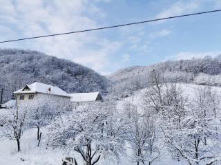 Pensiunea La Nenea Iancu - Pianu de Sus - 1