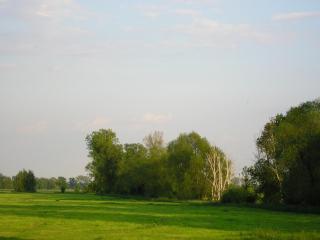 Parkhotel Schönewalde - 6