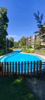 Condominio Parque Payllahue, Pucón Camino al Volcán 960 - Pucón - 1