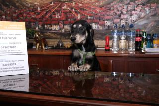 Hostal La Catolica - 6