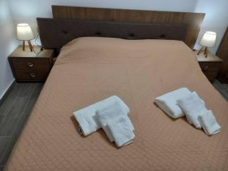 Dipotamata House SynetI - 6