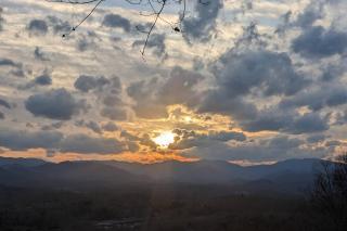 Black Bear Cabin Fox Mountain - 1