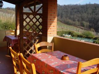 Villa Buonasera Agriturismo - Greve in Chianti - 6