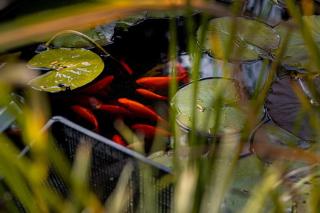 Apartmán v podzámčí - 4