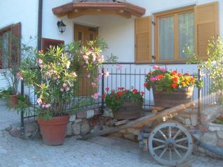 Agritur Widmann - Coredo - 2