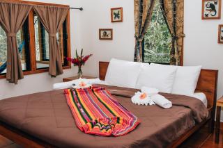 Mariposa Jungle Lodge - San Ignacio - 2