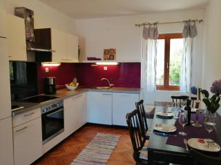 Apartments Amazing view - Jelsa (Gelsa) - 4