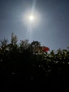 La casa de la Abuela - 4