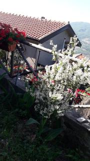 Il giardino del borgo - 3