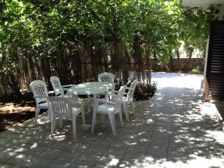 Apartments Sugar - Mandre - 1