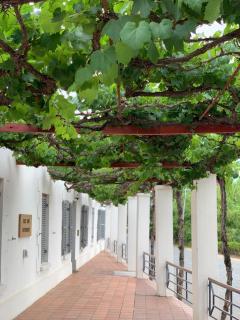 Port Wine Guesthouse - Calitzdorp - 0