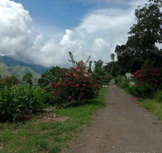 Home stay wolokoro ecotourism - Bajawa - 2