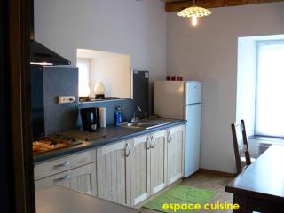 Maison de charme en campagne à Arlempdes avec jardin - Arlempdes - 5