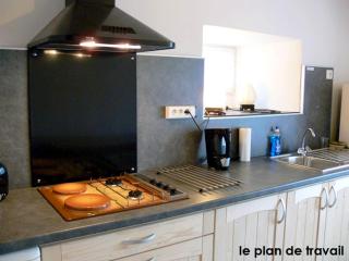 Maison de charme en campagne à Arlempdes avec jardin - 4