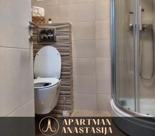 Apartman Anastasija Vrnjačka Banja - Vrnjačka Banja - 8