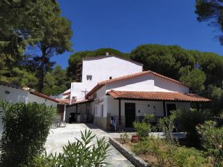 Villa Nikos Koukounaries - Koukounaries - 6