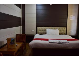 Hotel Peak View, Lahaul - Sissu - 7