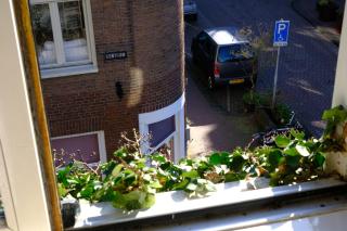Eelhouse private studio - Amsterdam - 3