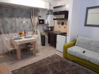 Apartment River - Bacău - 2