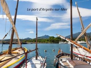 Appartement 2P / cabine, proche plage, parking privatif - FR-1-225-59 - Argelès-sur-Mer - 8