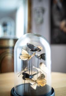 La Petite Reine et son parking - Étretat - 6