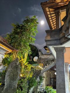 Ubud Dream - Ubud - 8